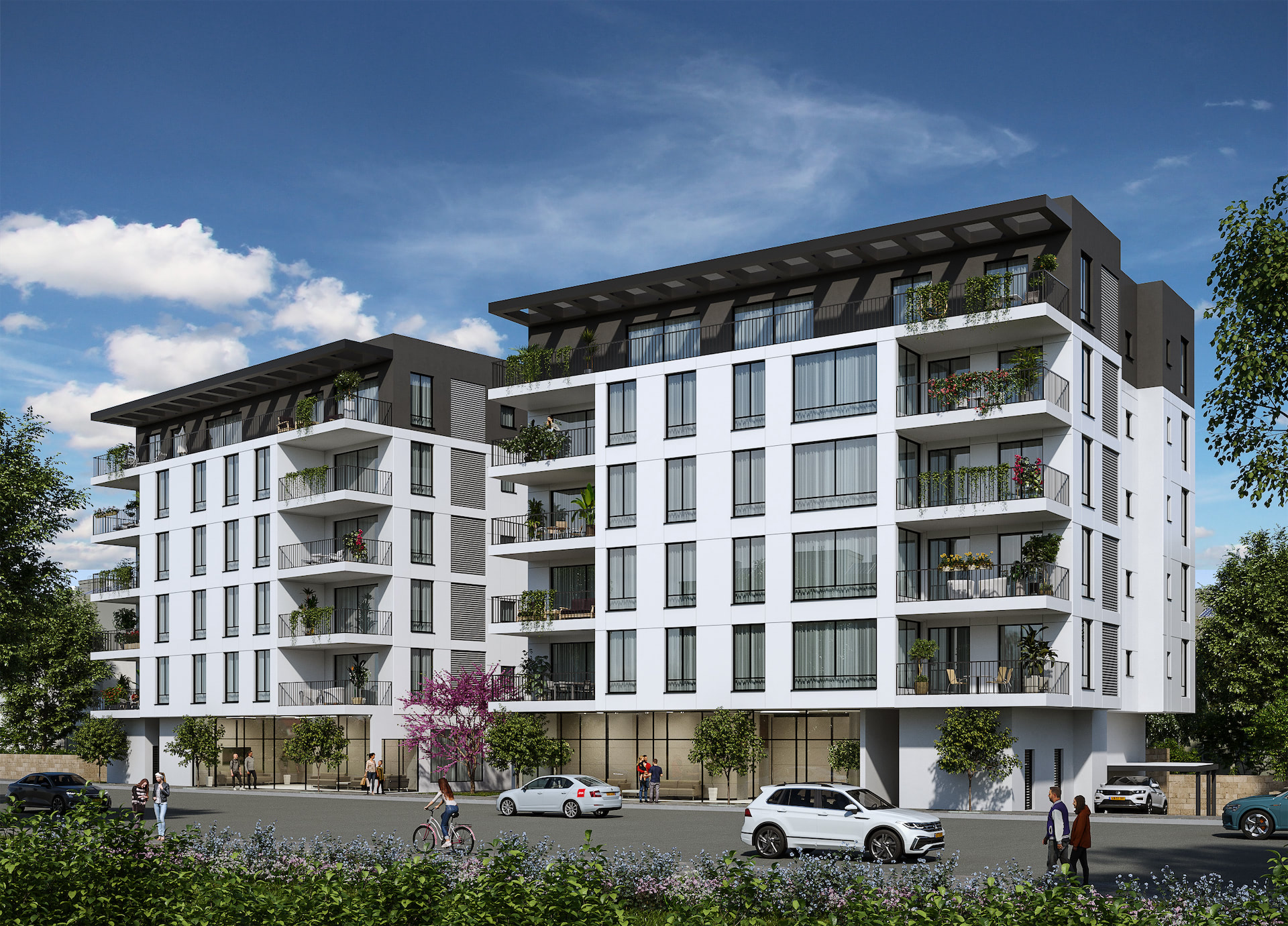 חזית דרומית